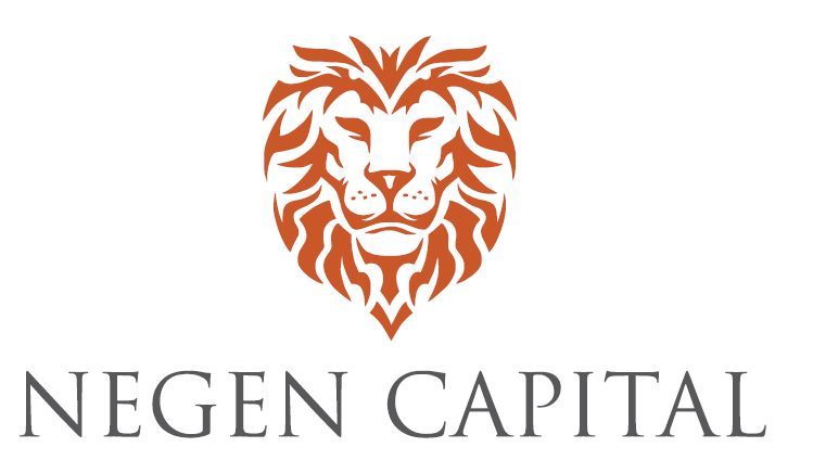 Negen Capital Portfolio